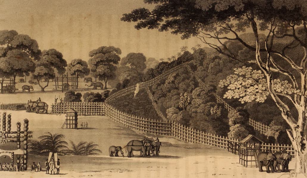 A Description of Ceylon Vol. 1 - Elephant Snare at Kotawy (1807)