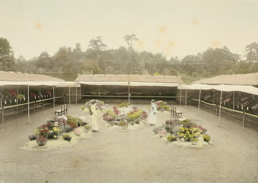 A Model Japanese Villa - Another view of the chrysanthemum beds with two young ladies in the centre. (1900)
