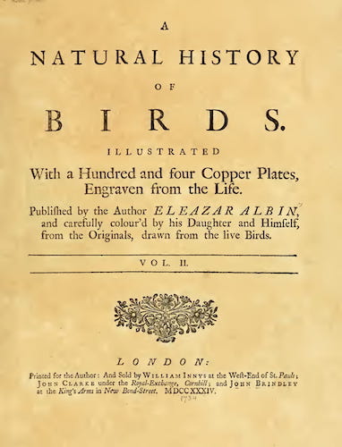 Aquatint & Lithography - A Natural History of Birds Vol. 2