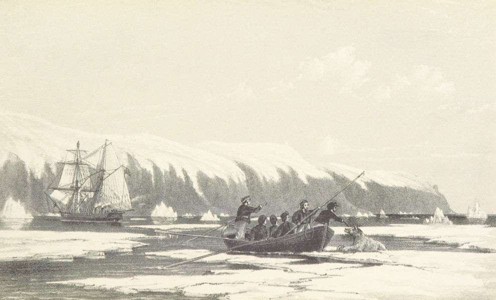 A Summer Search for Sir John Franklin - Killing a Bear off Cape York (1853)