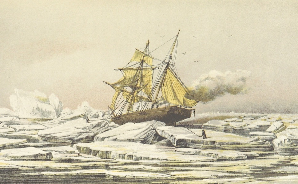A Summer Search for Sir John Franklin - Dangerous Position of the Isabel Caught in the Lee Pack (1853)
