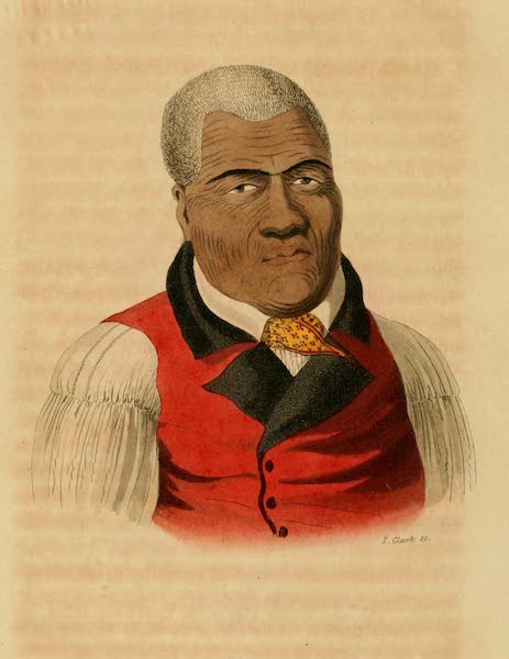 A Voyage of Discovery, into the South Sea and Beering's Straits Vol. 1 - Tamaah-Maah, King of the Sandwich Islands (1821)