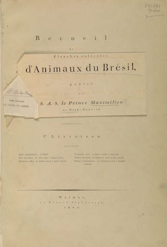 Abbildungen zur Naturgeschichte Brasiliens