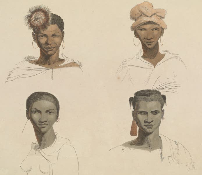 African Scenery and Animals - Four Portraits From Nature (1804)