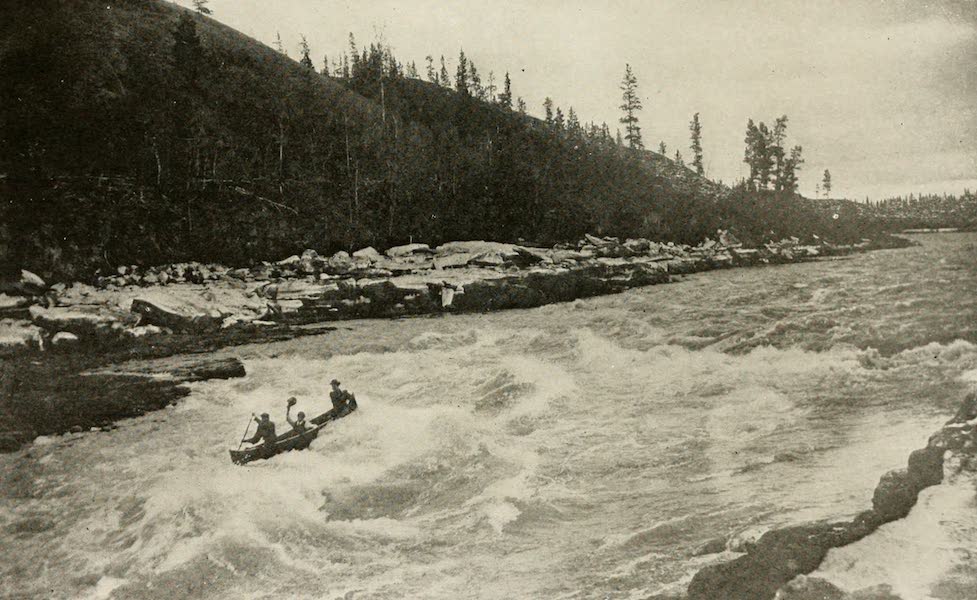 White Horse Rapids | History Archive