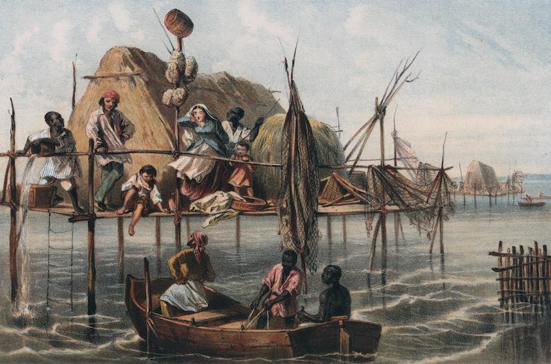 Album Pintoresco de la Isla de Cuba - Vivienda de los Pescadores de Esponjas. Bahia de Nuevitas (1855)