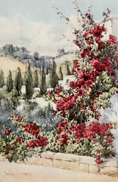 Algeria and Tunis, Painted and Described - On my Balcony, Algiers (1906)