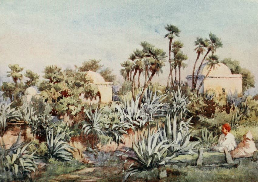 Algeria and Tunis, Painted and Described - Koubba of Sidi Noumann, Bouzareah (1906)