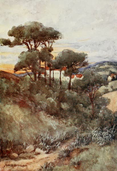 Algeria and Tunis, Painted and Described - Stone Pines, Algiers (1906)
