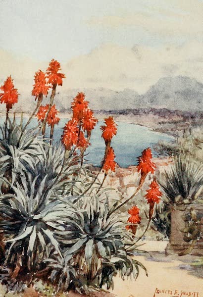 Algeria and Tunis, Painted and Described - The Red Aloes (1906)