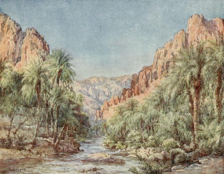 Algeria and Tunis, Painted and Described - The Gates of the Desert (1906)