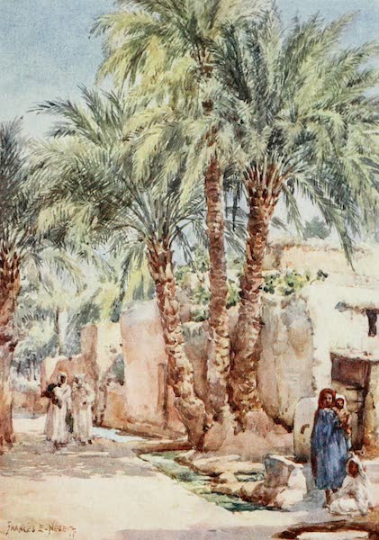 Algeria and Tunis, Painted and Described - The Palm Village (1906)