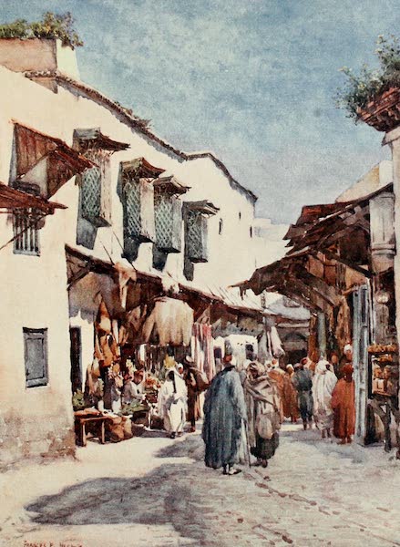 Algeria and Tunis, Painted and Described - Souk el Belat, Tunis (1906)