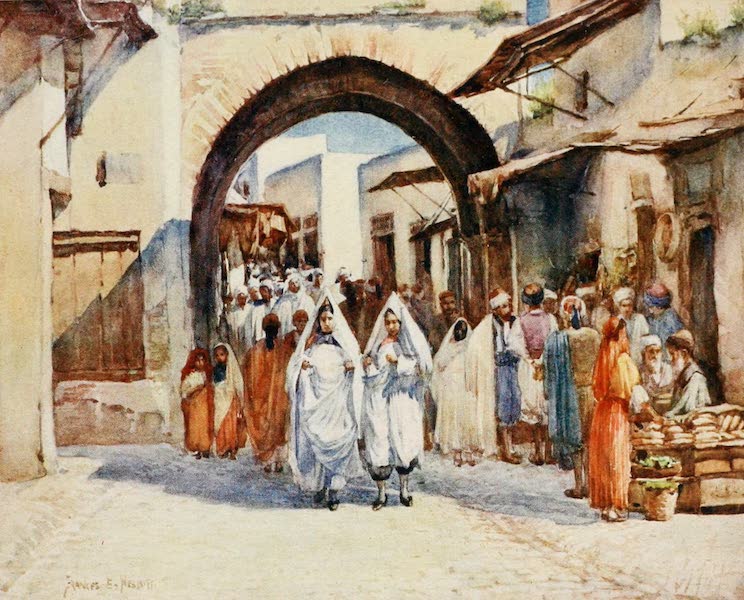 Algeria and Tunis, Painted and Described - Souk el Hout, Tunis (1906)