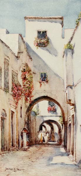 Algeria and Tunis, Painted and Described - Rue Tourbet el Bey, Tunis (1906)