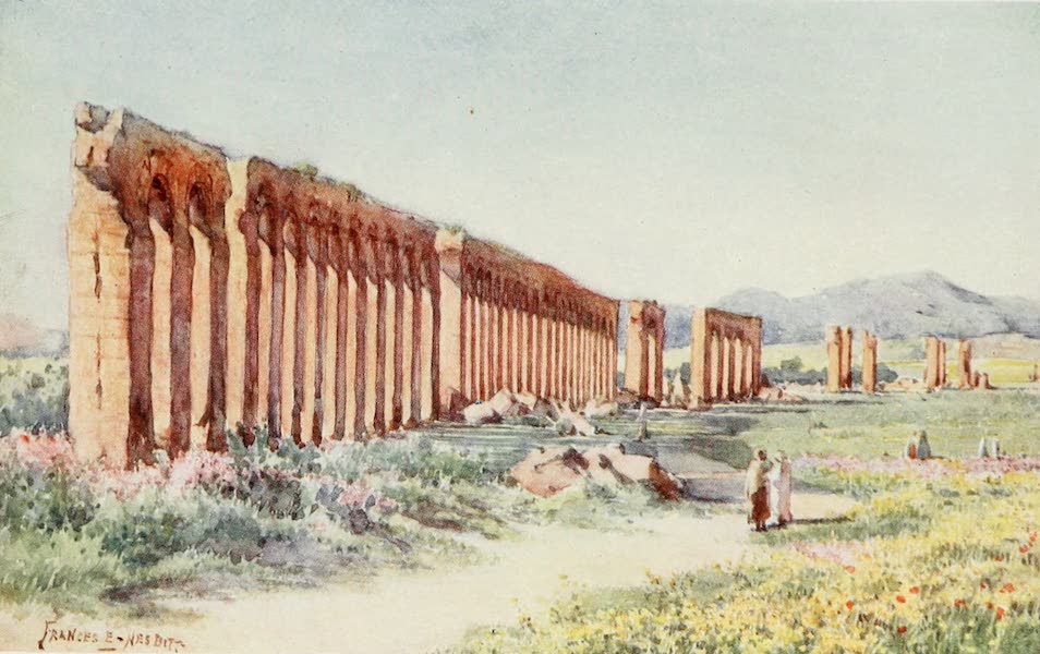 Algeria and Tunis, Painted and Described - The Carthage Aqueduct (1906)