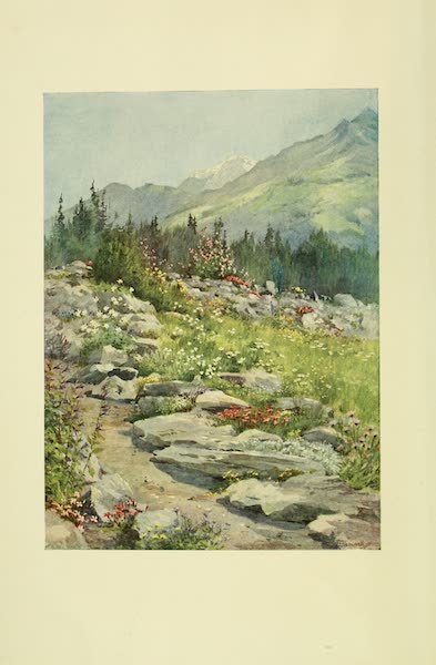 Alpine Garden (The Linnea) at Bourg St. Pierre