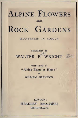 Aquatint & Lithography - Alpine Flowers and Rock Gardens