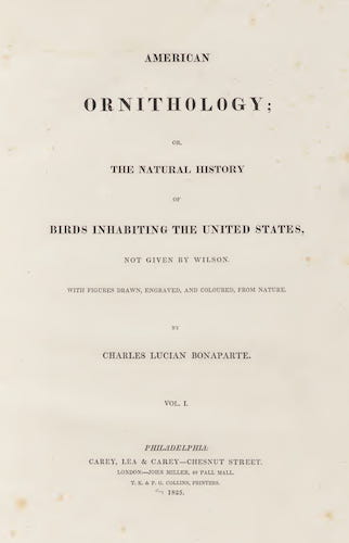 Natural History - American Ornithology Vol. 1