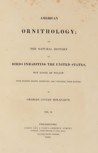 American Ornithology Vol. 2 (1828)