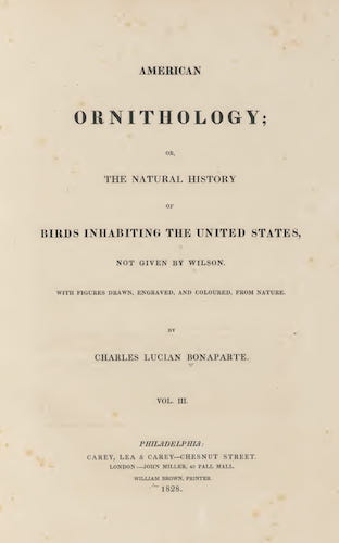 American Ornithology Vol. 3 (1828)