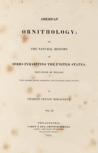 American Ornithology Vol. 4 (1833)