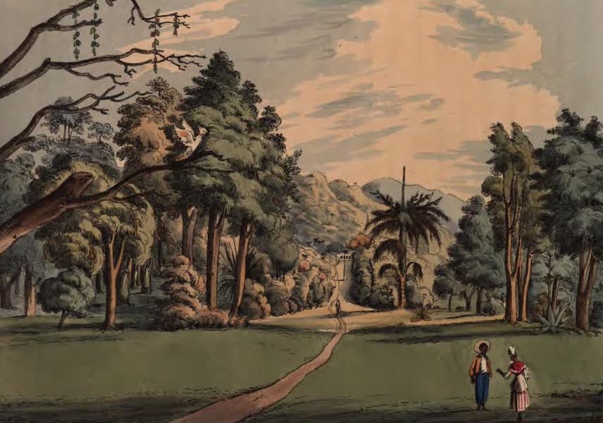 Botanic Garden from the bottom of the Central Walk