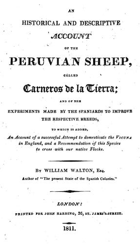 Aquatint & Lithography - An Historical and Descriptive Account of the Peruvian Sheep