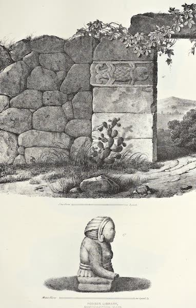 2ème Expedition - Planche VII