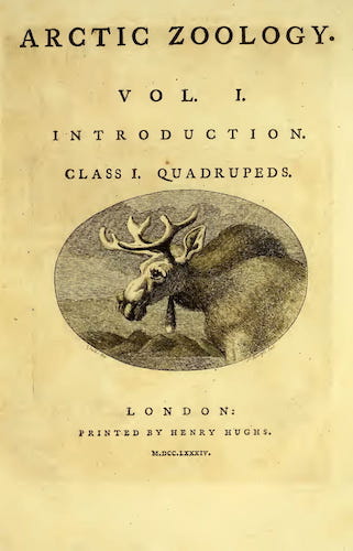 Arctic Zoology Vol. 1 (1784)