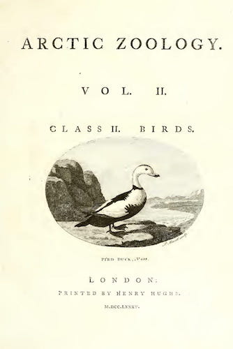 Arctic Zoology Vol. 2