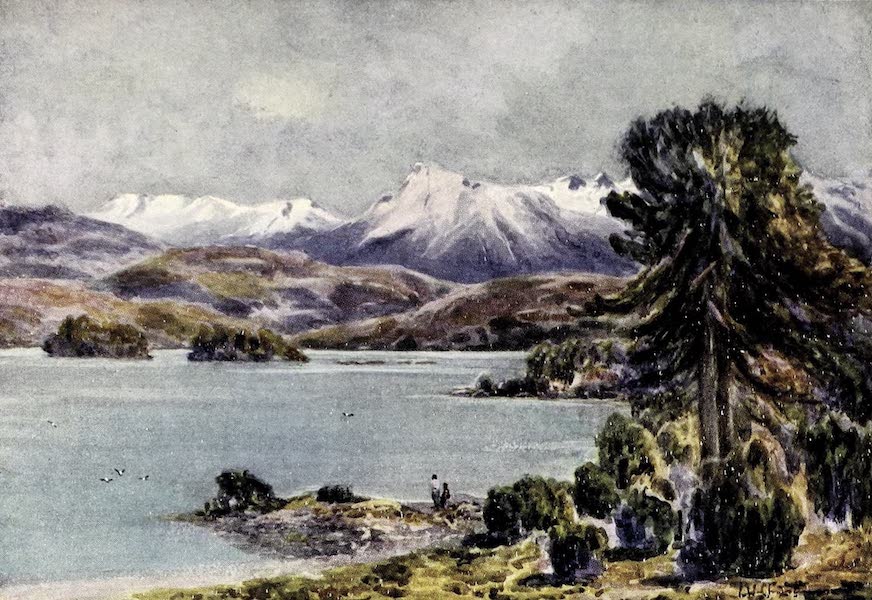 Moquhue Lake