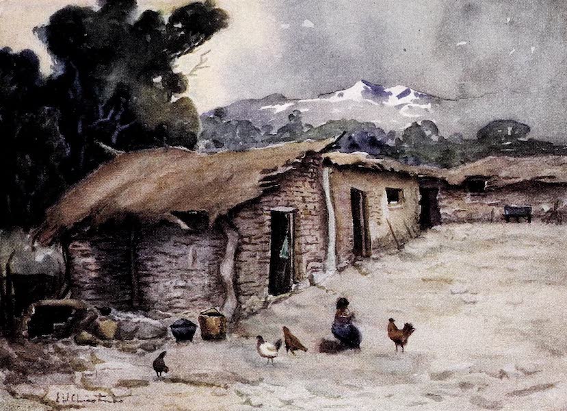 A Paisano's Hut on the Chilean Frontier