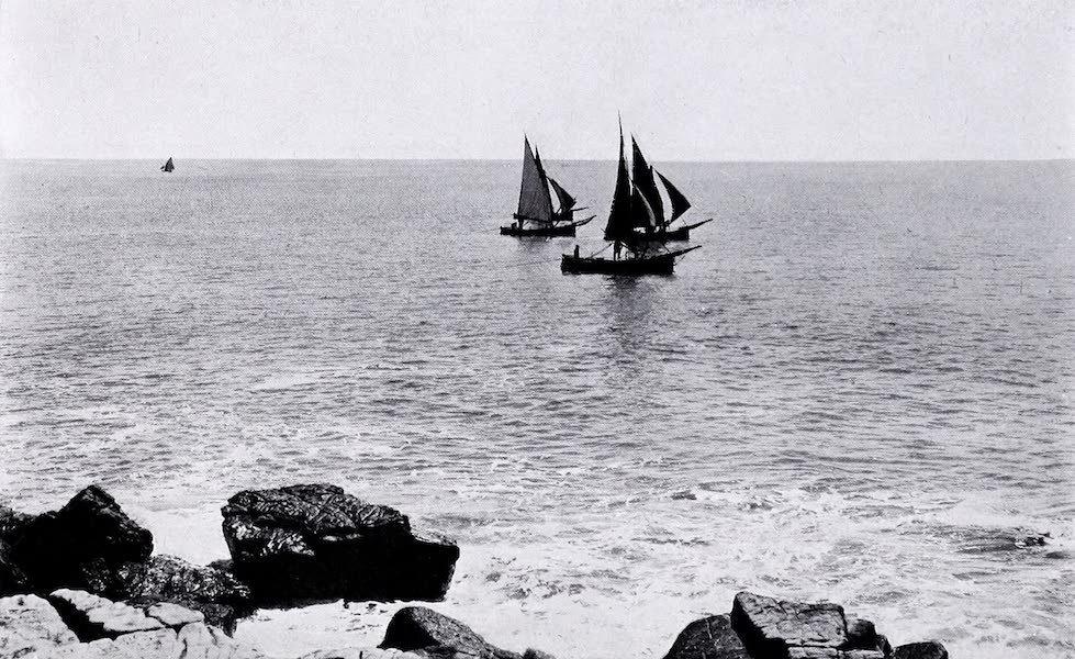 Fishing Boats : Mar Del Plata