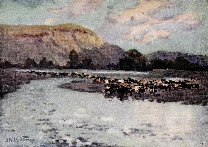 Branding Cattle : III
