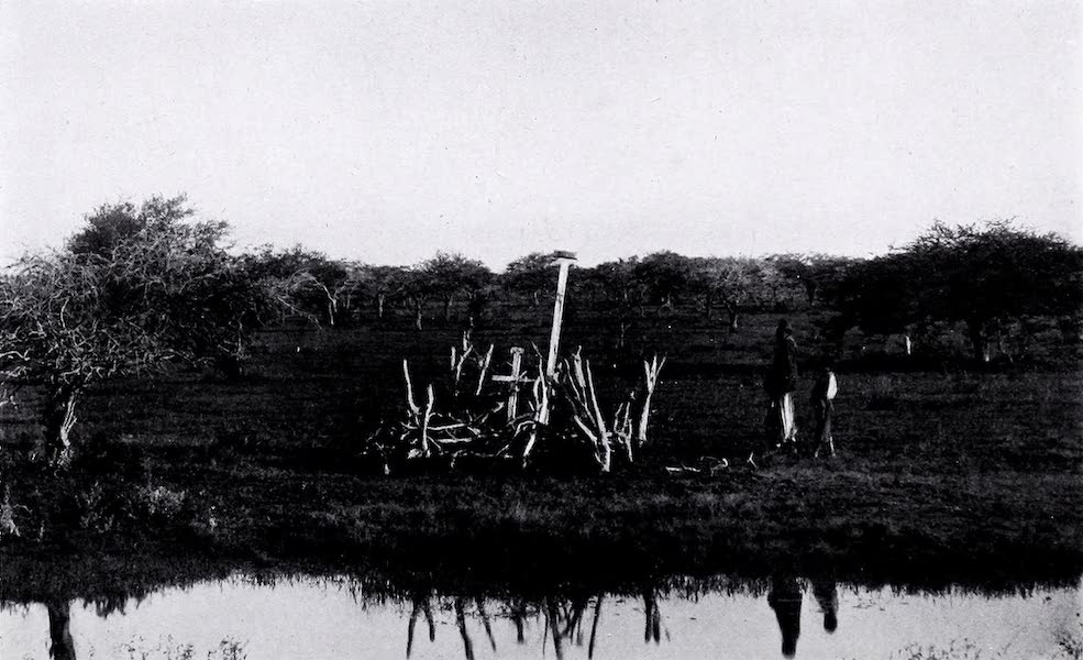 A Campo Graveyard