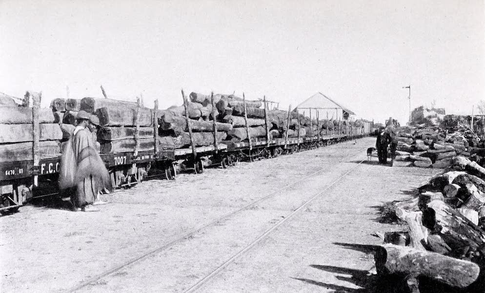 Argentina, Past and Present - The Transport of Quebracho Logs (1914)