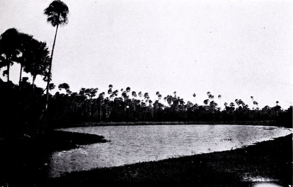 A Chaco Lagoon