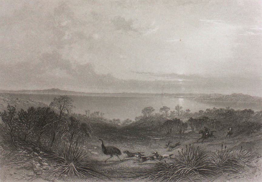 Australia Vol. 1 - Lake Albert (1873)