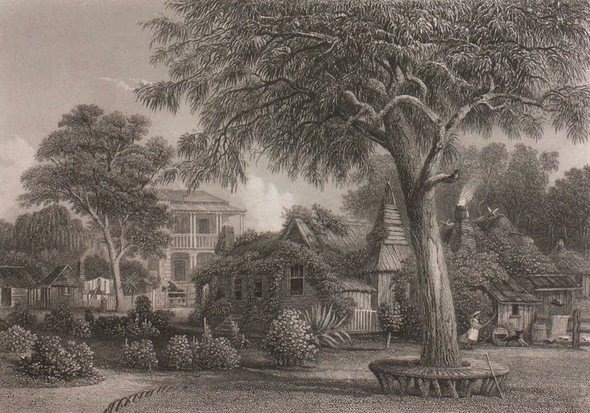 Australia Vol. 1 - The Old and New Home Stations (1873)