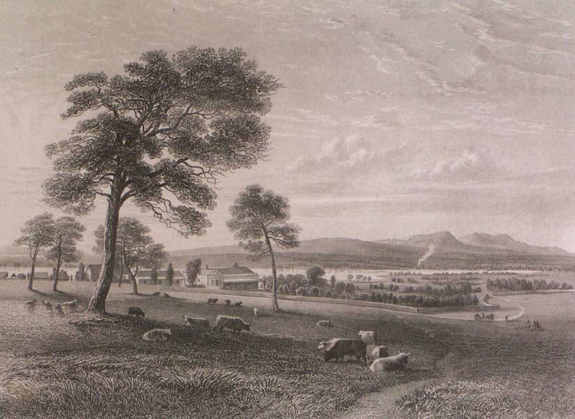 Australia Vol. 1 - Lake Colac, Victoria (1873)