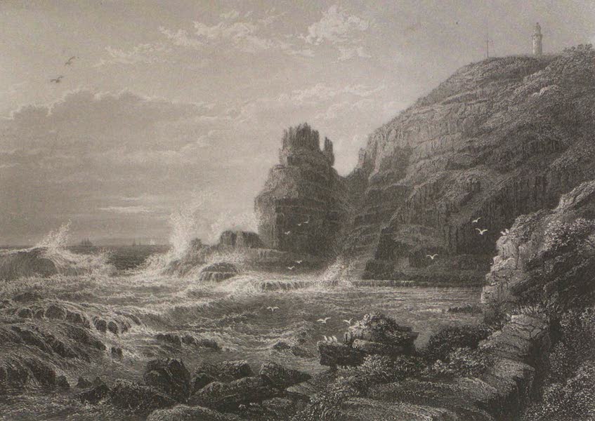Australia Vol. 1 - Cape Schank, Victoria (1873)