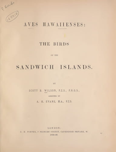 Aves Hawaiienses : the Birds of the Sandwich Islands (1890)