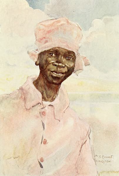 Back to Sunny Seas - Jamaican Boatman (1905)