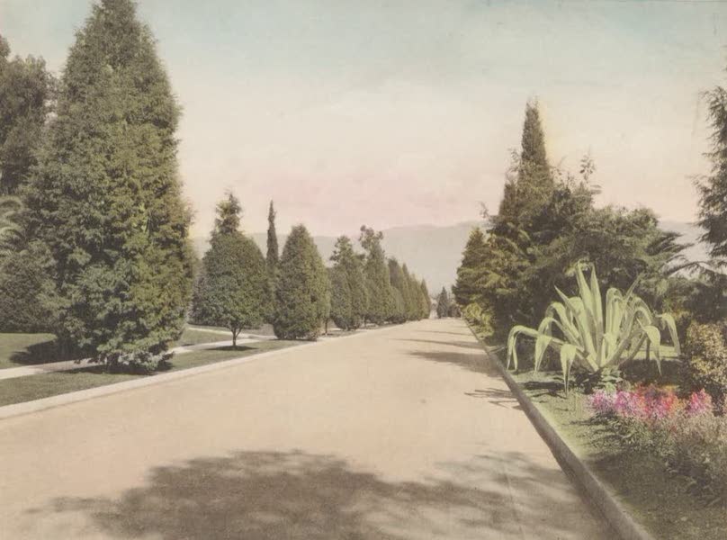 Beautiful Pasadena California - Drive in Westmoreland Place (1920)