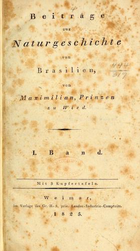 Andes - Beitrage zur Naturgeschichte von Brasilien Vol. 1