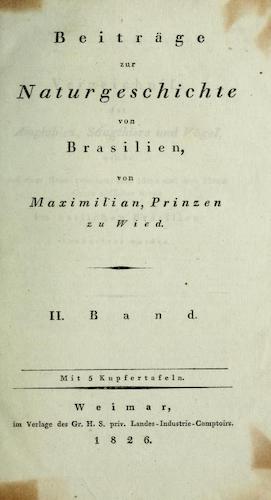 Andes - Beitrage zur Naturgeschichte von Brasilien Vol. 2