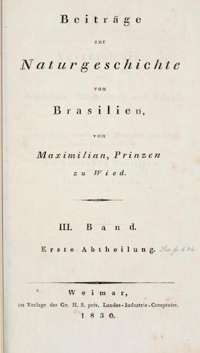 Andes - Beitrage zur Naturgeschichte von Brasilien Vol. 3