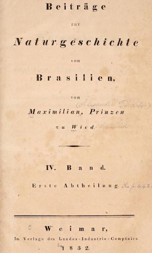Andes - Beitrage zur Naturgeschichte von Brasilien Vol. 4