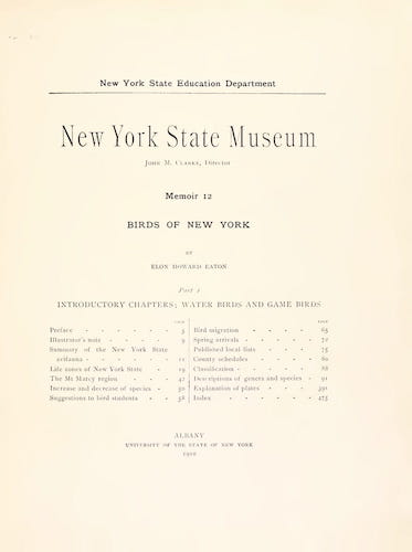 American Southwest - Birds of New York Vol. 1